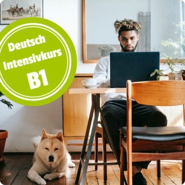 B1 Online Deutschkurs Intensiv Enalingua 8194